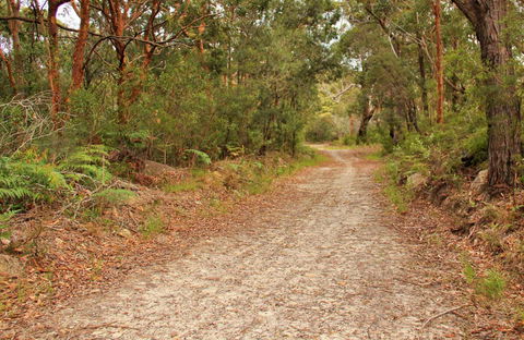 Daleys Point Walking Track - Grafton Accommodation 0