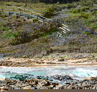 Dammerels History Walk - Grafton Accommodation