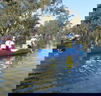 Doodle Cooma Swamp - Grafton Accommodation