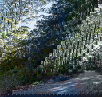 Hastings Forest Way Touring Route - Grafton Accommodation