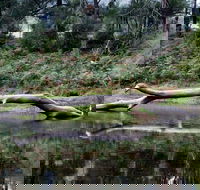Kayaking Upper Tuross River and Bumbo Lake - Grafton Accommodation