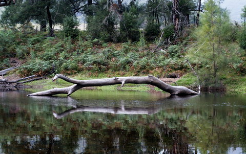 Kayaking Upper Tuross River And Bumbo Lake - Grafton Accommodation 0
