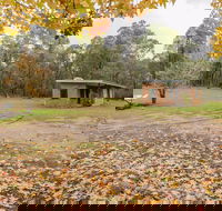 Major Clews Hut Walking Track