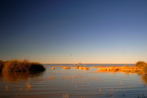 Malkumba-Coongie Lakes National Park - Grafton Accommodation 0