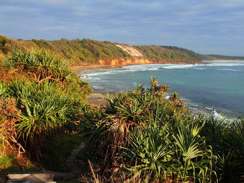 Miners Beach - Grafton Accommodation 0