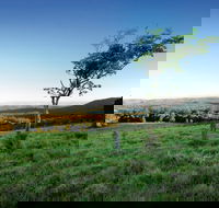Ravensbourne National Park