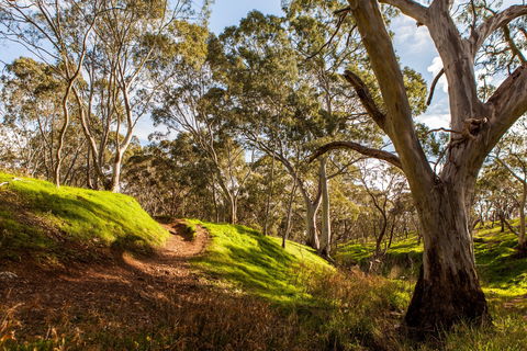 Shepherds Hill Recreation Park - Grafton Accommodation 1