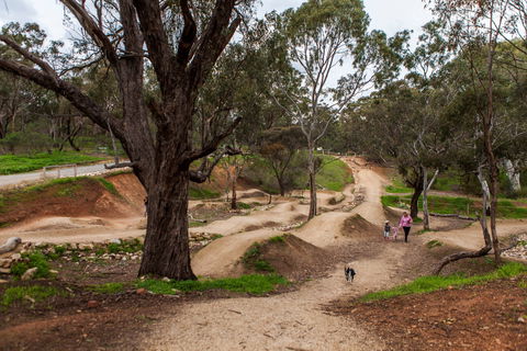 Shepherds Hill Recreation Park - Grafton Accommodation 2