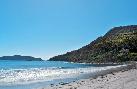 Yacaaba Headland Walking Track - Grafton Accommodation 0