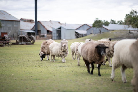 14 Day Gems Of The Outback - Grafton Accommodation 2