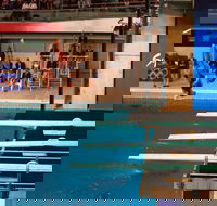 Dive Into History at Sydney Olympic Park Aquatic Centre - Grafton Accommodation