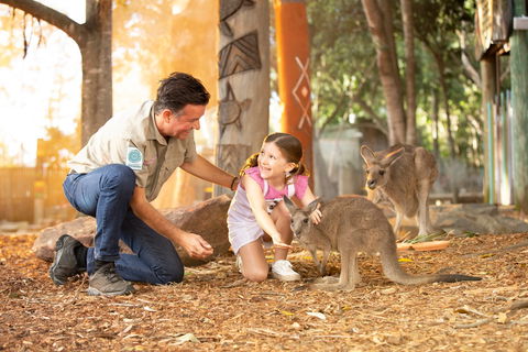 Dreamworld - Grafton Accommodation 2