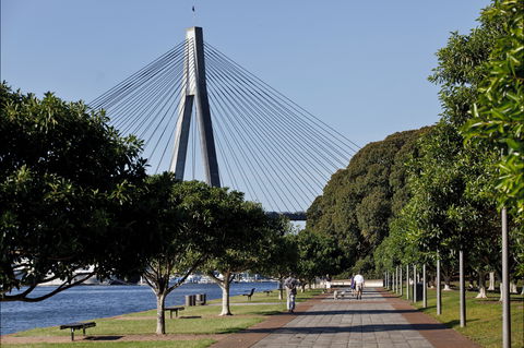 Glebe Foreshore Walk - Grafton Accommodation 0