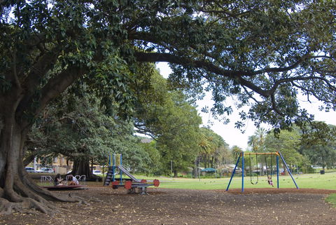 Glebe Foreshore Walk - Grafton Accommodation 2