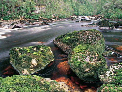 Gordon River - The - Grafton Accommodation 2