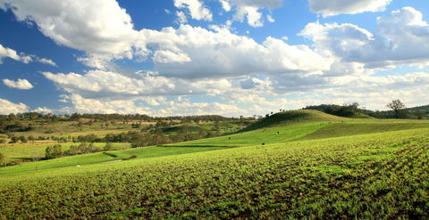 Lions Park, Hodgson Vale - Grafton Accommodation 0