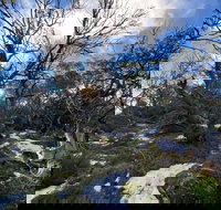 Mount Torbreck Summit Walk - Grafton Accommodation