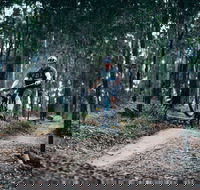 Nerang Mountain Bike Trails - Grafton Accommodation