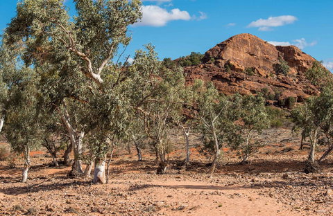 Old Coach Road Drive - Grafton Accommodation 0