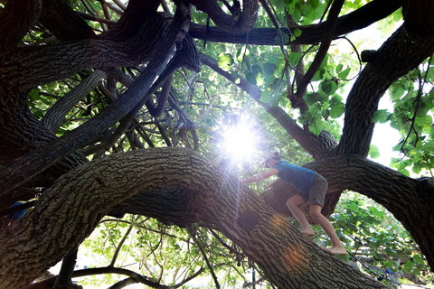 Scarborough Beach Park - Grafton Accommodation 0