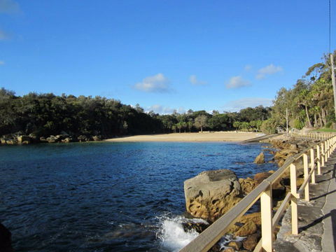 Shelly Beach: Manly - Grafton Accommodation 0