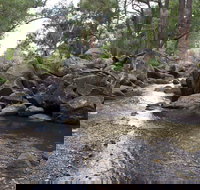 Threlfall Walking Track - Grafton Accommodation