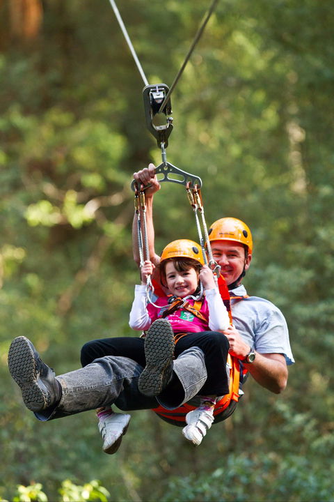 Zipline At Illawarra Fly - Grafton Accommodation 0