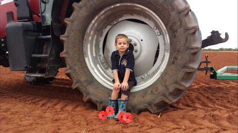 Alice Springs School Of The Air Visitor Centre - Grafton Accommodation 2