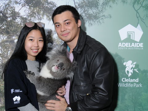 Cleland Wildlife Park - Koala Hold - Grafton Accommodation 0