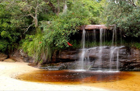 Collins Flat Beach - Grafton Accommodation 0