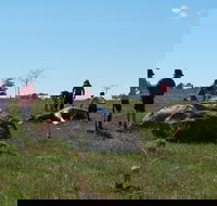 Jim Salmon  Wetland Education Site