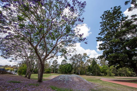 John Scott Park - Grafton Accommodation 0