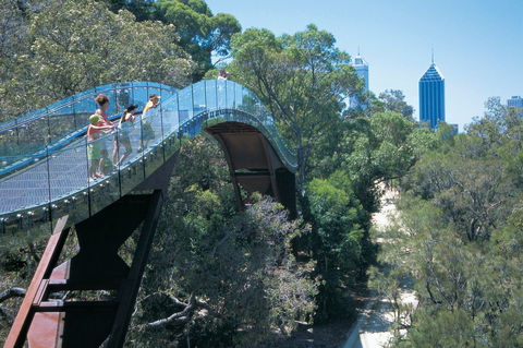 Law Walk - Kings Park - Grafton Accommodation 0