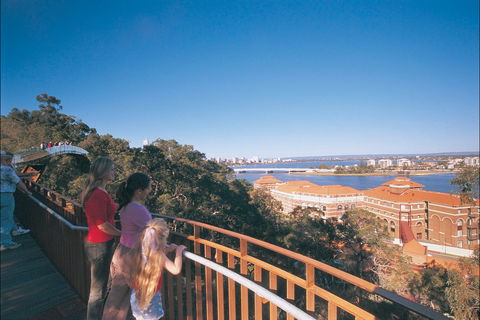 Law Walk - Kings Park - Grafton Accommodation 1