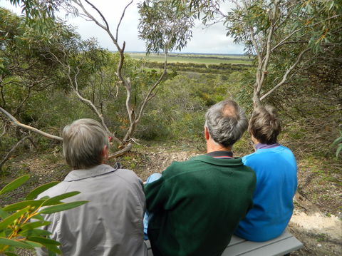 Meningie Lions Walking Trail - Grafton Accommodation 1