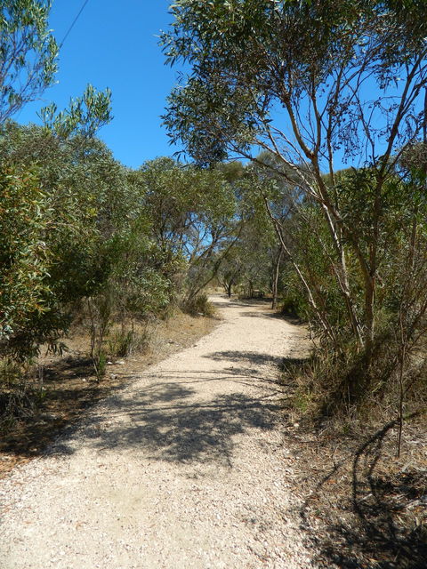 Meningie Lions Walking Trail - Grafton Accommodation 2