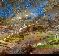 Mount Grenfell Historic Site - Grafton Accommodation