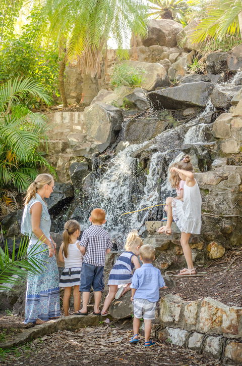 Queens Park Waterfall - Grafton Accommodation 0