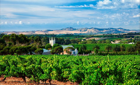 Seppeltsfield Road Barossa Valley - Grafton Accommodation 1