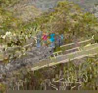 Walpole Wilderness Discovery Centre - Grafton Accommodation