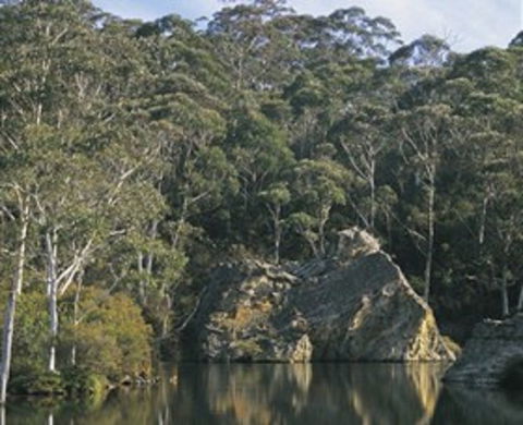 Woodford - Grafton Accommodation 0