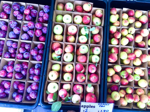 Adelaide Showground Farmers' Market - Grafton Accommodation 0