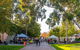 Adelaide Showground Farmers' Market - thumb 2