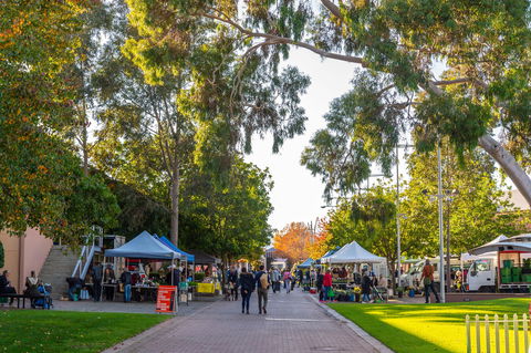 Adelaide Showground Farmers' Market - Grafton Accommodation 2
