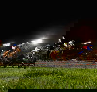 Canterbury Park Racecourse - Grafton Accommodation
