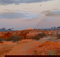 Castle Rock walk and Lookout - Grafton Accommodation