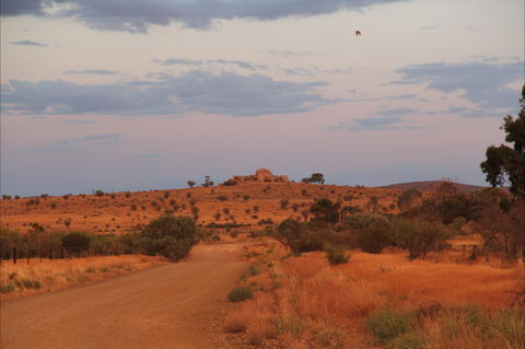 Castle Rock Walk And Lookout - Grafton Accommodation 0
