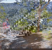 Caves circuit Lamington National Park - Grafton Accommodation