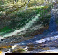 Charles Darwin walk - Grafton Accommodation