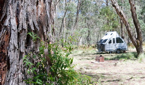Coolah Tops National Park - Grafton Accommodation 2